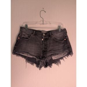 Free People We the Free Y2K Distressed Denim Shorts Gray 28